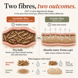 Metabolic Fibre+ Gummies
