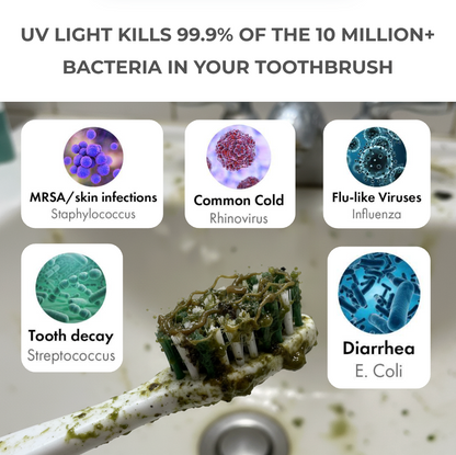 UV Toothbrush Sanitizer & Holder